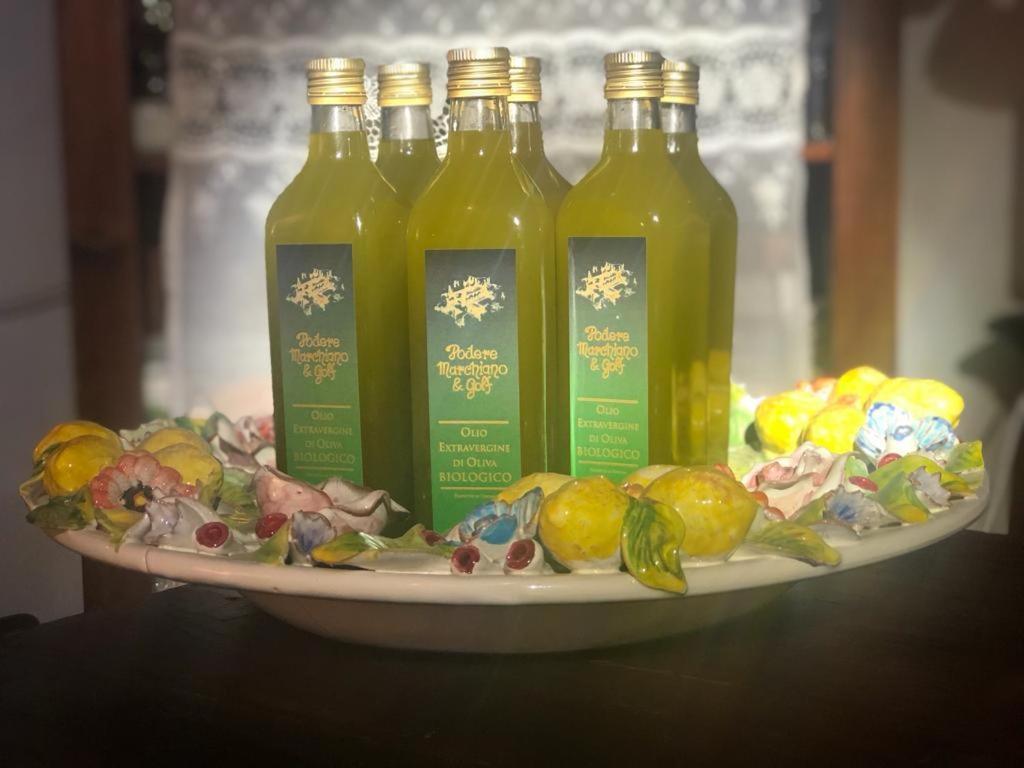 Agriturismo Podere Marchiano Larciano 외부 사진